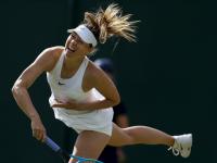 莎拉波娃在瑞士队比赛中战术调整，爆冷引发热议！的简单介绍